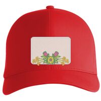 Flexfit Delta cap (180) Vignette