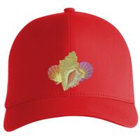 Flexfit Delta cap (180) Vignette
