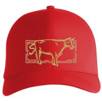 Flexfit Delta cap (180) Vignette