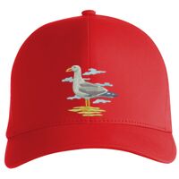 Flexfit Delta cap (180) Vignette