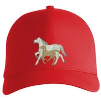 Flexfit Delta cap (180) Vignette