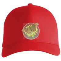 Flexfit Delta cap (180) Vignette