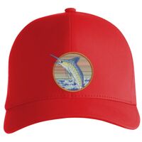 Flexfit Delta cap (180) Vignette