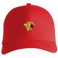 Flexfit Delta cap (180) Vignette