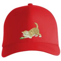 Flexfit Delta cap (180) Vignette