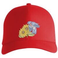 Flexfit Delta cap (180) Vignette
