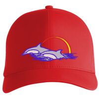 Flexfit Delta cap (180) Vignette