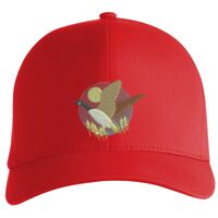 Flexfit Delta cap (180) Vignette