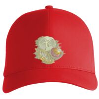 Flexfit Delta cap (180) Vignette
