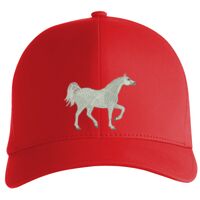 Flexfit Delta cap (180) Vignette