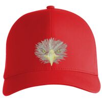 Flexfit Delta cap (180) Vignette