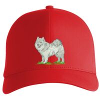 Flexfit Delta cap (180) Vignette