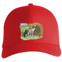 Flexfit Delta cap (180) Vignette