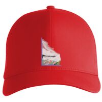 Flexfit Delta cap (180) Vignette