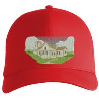 Flexfit Delta cap (180) Vignette