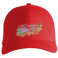 Flexfit Delta cap (180) Vignette