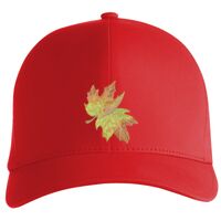 Flexfit Delta cap (180) Vignette