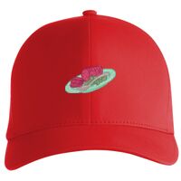 Flexfit Delta cap (180) Vignette