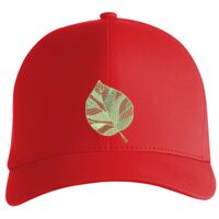 Flexfit Delta cap (180) Vignette