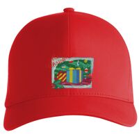 Flexfit Delta cap (180) Vignette