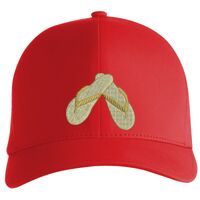 Flexfit Delta cap (180) Vignette