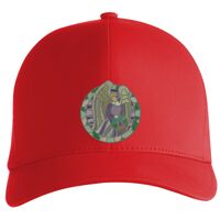 Flexfit Delta cap (180) Vignette