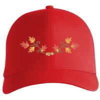 Flexfit Delta cap (180) Vignette