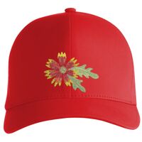 Flexfit Delta cap (180) Vignette