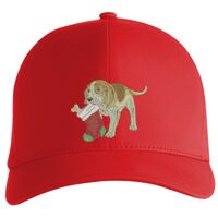 Flexfit Delta cap (180) Vignette