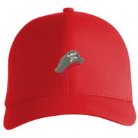 Flexfit Delta cap (180) Vignette