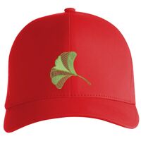 Flexfit Delta cap (180) Vignette
