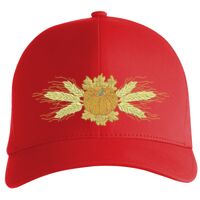 Flexfit Delta cap (180) Vignette