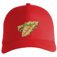 Flexfit Delta cap (180) Vignette