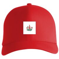 Flexfit Delta cap (180) Vignette