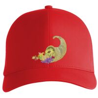 Flexfit Delta cap (180) Vignette