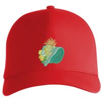 Flexfit Delta cap (180) Vignette