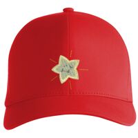 Flexfit Delta cap (180) Vignette