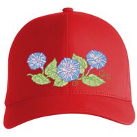 Flexfit Delta cap (180) Vignette