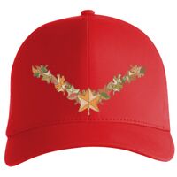 Flexfit Delta cap (180) Vignette