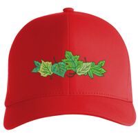 Flexfit Delta cap (180) Vignette