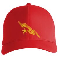 Flexfit Delta cap (180) Vignette