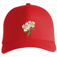 Flexfit Delta cap (180) Vignette
