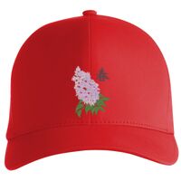 Flexfit Delta cap (180) Vignette