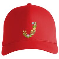 Flexfit Delta cap (180) Vignette