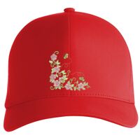 Flexfit Delta cap (180) Vignette