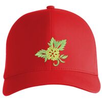 Flexfit Delta cap (180) Vignette