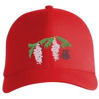 Flexfit Delta cap (180) Vignette