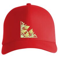 Flexfit Delta cap (180) Vignette