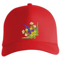 Flexfit Delta cap (180) Vignette