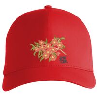 Flexfit Delta cap (180) Vignette